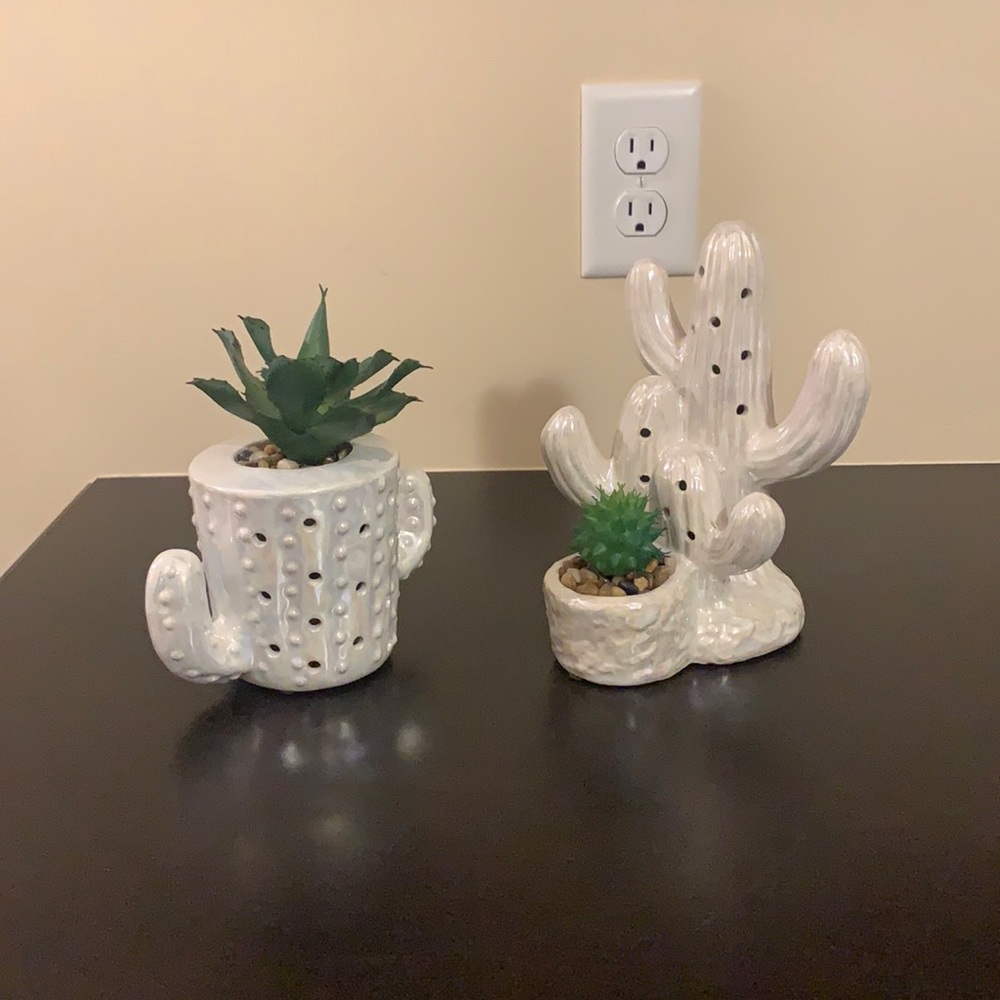 Ceramic Cactus decor pieces (2)